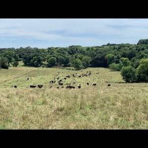 Meet your Posher, Aaron